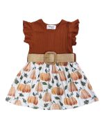 Hello Pumpkin Girls Short Sleeve Belted Dress