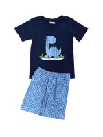 Jurassic Vibes Boys Dinosaur Shorts Outfit