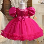 Baby Girl Dress for 1-5Y Baby Girls Princess Dress New Mesh Dress Toddler Birthday Party Costume Elegant Girls Children's Clothe - Image 4