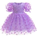 Baby Dresses Elegant Party Dresses For Girls Fashion Lace Sleeve Flower Girl Dress Embroidery Butterfly Children's Summer Dress - Image 8