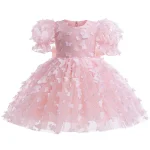 Baby Dresses Elegant Party Dresses For Girls Fashion Lace Sleeve Flower Girl Dress Embroidery Butterfly Children's Summer Dress