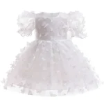 Baby Dresses Elegant Party Dresses For Girls Fashion Lace Sleeve Flower Girl Dress Embroidery Butterfly Children's Summer Dress - Image 9