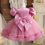 Baby Girl Dress for 1-5Y Baby Girls Princess Dress New Mesh Dress Toddler Birthday Party Costume Elegant Girls Children's Clothe - Image 2