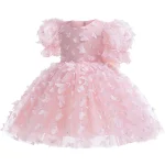 Baby Dresses Elegant Party Dresses For Girls Fashion Lace Sleeve Flower Girl Dress Embroidery Butterfly Children's Summer Dress - Image 2