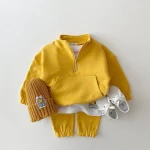 Baby Boy Girl Clothes Set Infant Kids Cotton Tops Jacket Pants Suit Toddler Boys Sweatshirt Trousers Clothing 2pcs/set Tracksuit - Image 3