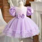 Baby Girl Dress for 1-5Y Baby Girls Princess Dress New Mesh Dress Toddler Birthday Party Costume Elegant Girls Children's Clothe - Image 6