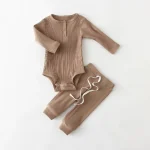 Baby Boy Suits for Spring Summer Cotton Infant Homewear Bodysuit + Pants Newborn Boy Clothes Set - Image 2