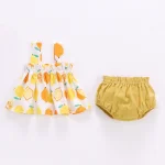 Lawadka Summer Thin Newborn Baby Clothes For Girls Set Print Mini Dress And PP Shorts 2Pcs Set Infant Baby Clothing Outfit 2024 - Image 3
