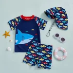 Lioraitiin Toddler Baby Boy Swimsuit Set Shark Print Short Sleeve Rash Guard Swim Tops Shorts Sun Hat 3Pcs Bathing Suit Outfit - Image 3