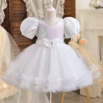 Baby Girl Dress for 1-5Y Baby Girls Princess Dress New Mesh Dress Toddler Birthday Party Costume Elegant Girls Children's Clothe - Image 5